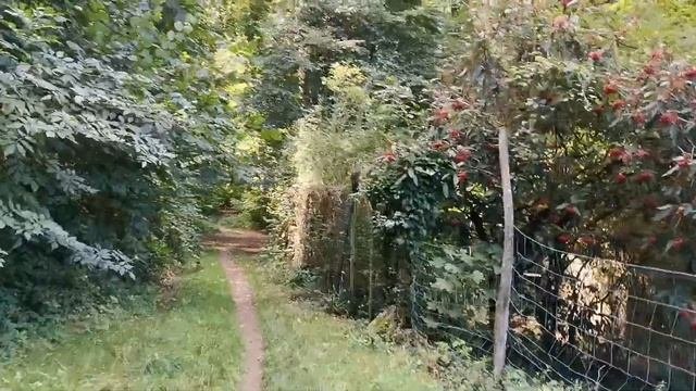 Шва́рцвальд  и его предгорье в сентябре.