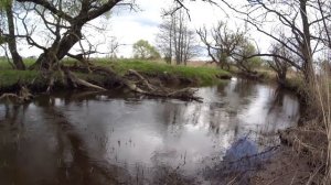 За ГОЛАВЛЁМ на домашний РУЧЕЙ. Ловля голавля на спиннинг в мае