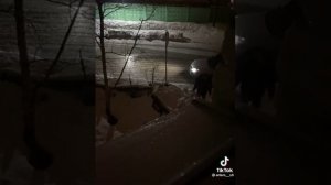 друг поздравил с днем рождения раньше положенного