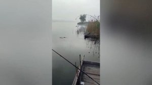 Рыбалка на Донце в г. Каменск Шахтинский Сазан.Видео от подписчика