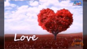 КАРТИНКАХОИ ОШИКИ БЕХТАРИН 2020