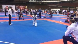 г. Минск. ФИНАЛ.Открытый турнир по тхэквондо "Кубок Столицы 2017" 15-17.12.2017.