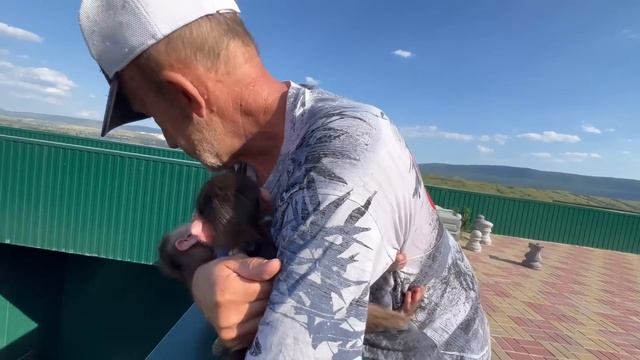 Степашка и Маняшка КРАСИВО НАРЯДИЛИСЬ и поехали кормить гамадрил в новом вольере)))