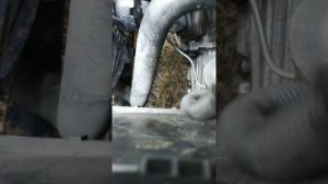 Гул при отпущенном сцеплении