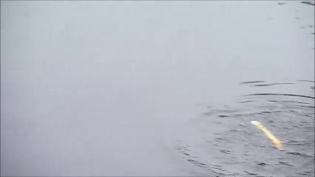 Джеркбейты дайверы