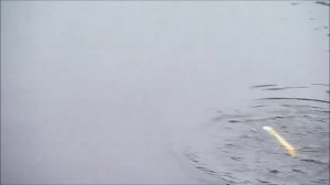 Джеркбейты дайверы