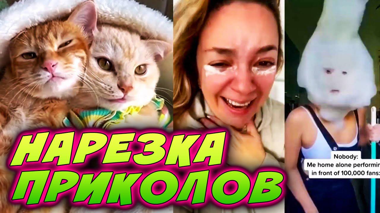 🛑 НАРЕЗКА ЛУЧШИХ СМЕШНЫХ ПРИКОЛОВ | #1 | забавный юмор, смешные животные