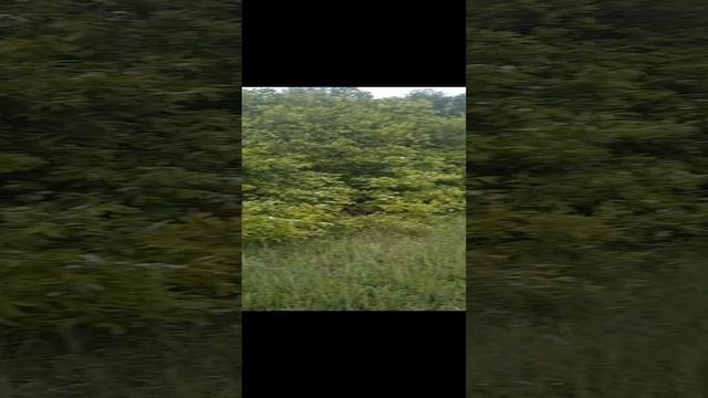 Красота вокруг нас