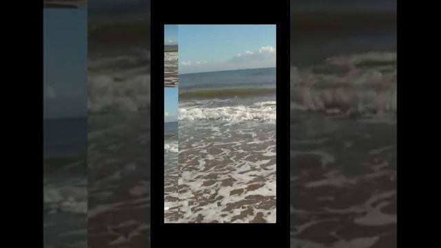 Звук природы. Чайки  Морские волны на пляже для расслабления и умиротворения