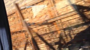 Curse Of The Traveller - Chris Rea /Messina to Catania/