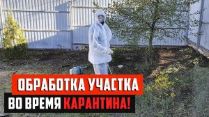 Не упустите время! Важная обработка участка весной от клещей.