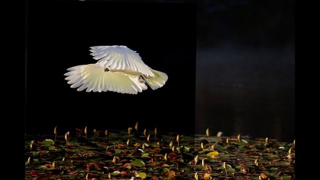 Best Cameras and Lenses I used in 2021! смотреть онлайн