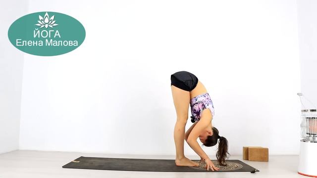 ВИНЬЯСА ЙОГА на ВСЕ ТЕЛО РАСТЯЖКА задней поверхности НОГ - Йога chilelavida Елена Малова смотреть онлайн
