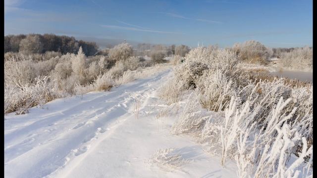 Порождение Зимы Морозные Штрихи #winter #nature #4k60fps #frozen #travel #snow #sony #landscape #fog