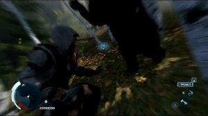 Копия видео охота на медведя в Assassin's creed 3