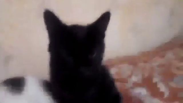 МУЗШОУ ОТ ГРИЗЕЛЬДЫ! ЧЕЙ КЛИП ЛУЧШЕ? смотреть онлайн