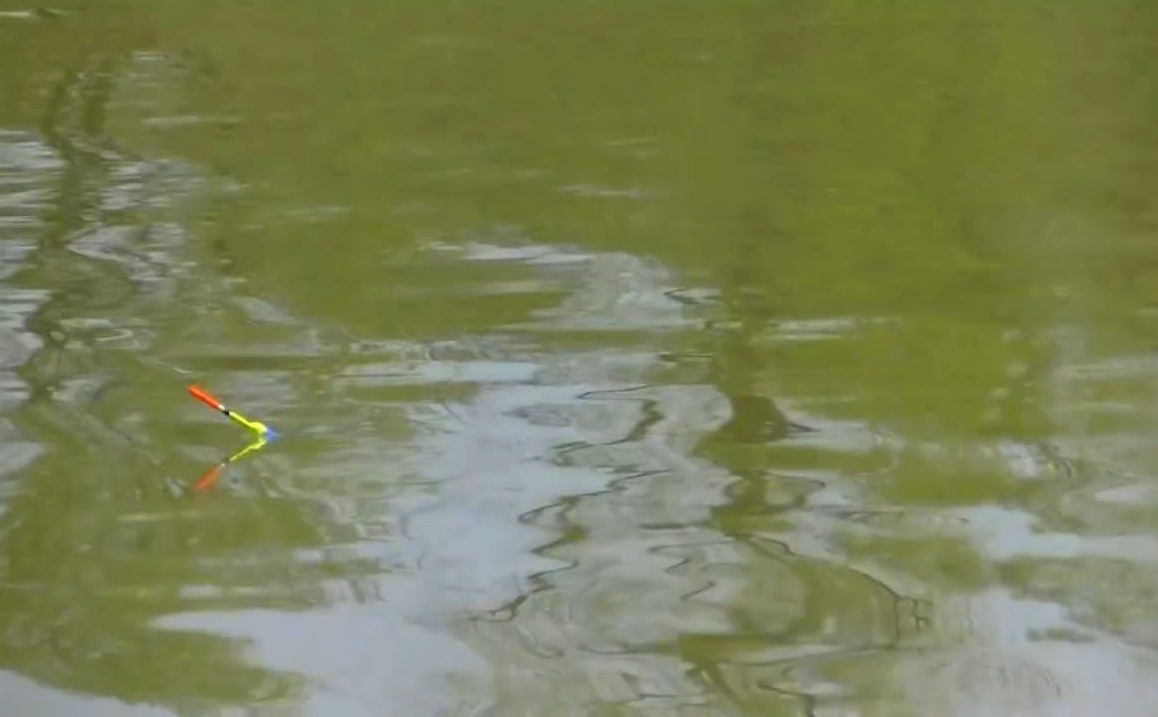 Рыбалка на поплавочную удочку в мае. смотреть онлайн