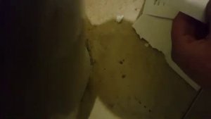 Обнал, Белый пластик, Кардинг, Вбив, картон