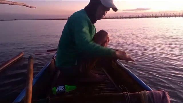 PAANO HUMULI NG MALAKING MAMALI AT PLA PLA NA MAMAW SA LAWA NG LAGUNA LAKE смотреть онлайн