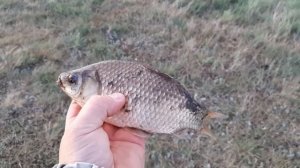 Рыбалка на реке "Ачаирка" в Омской области