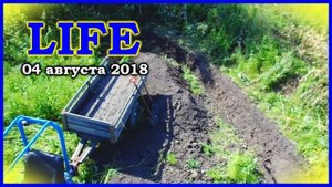 Колхоз продакшн. LIFE 04.08.2018. Топоры наточены.... Рою окопы....)))