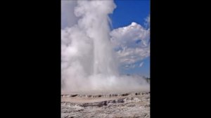 Йеллоустоун: Животные сбежали из Йеллоустоуна или нет?  Ответ на вопрос. Yellowstone.