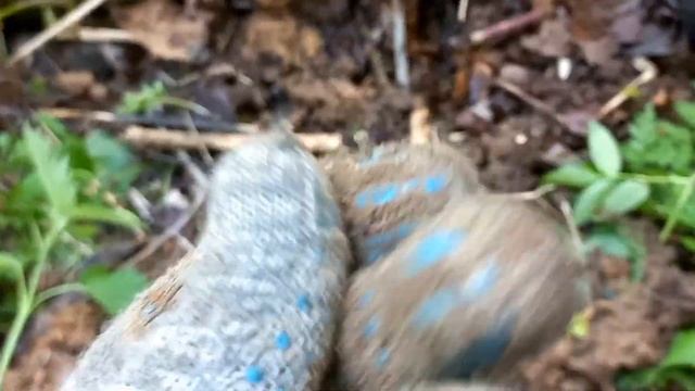 Коп по выбитым местам или снова в школу !!! смотреть онлайн