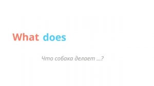 Задаем специальные вопросы в Present Simple