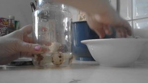 Экономьте время! как быстро очистить перепелиные яйца от скорлупы