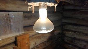 Поросята породы Дюрок в 2 месяца. Как обогреваем свинарник в зимнее время года. Свиноводство.