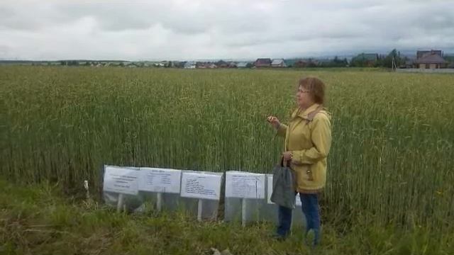 Изучение влияния длительного применения разных систем удобрений на азотный режим дерно подзолистой смотреть онлайн