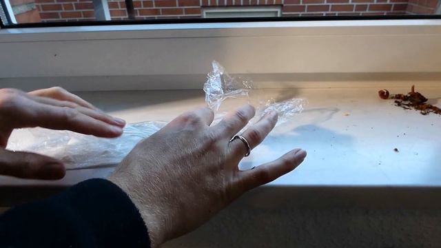 Rosen aus Samen selber ziehen & züchten – Rosen Samen gewinnen säen & einpflanzen – Rose vermehren смотреть онлайн