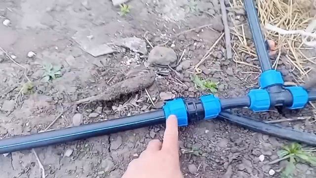 Сборка капельного полива на участке с черешней, вишней и абрикосами.