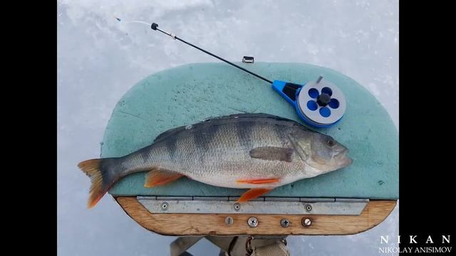 Закрытие зимнего сезона в Заонежье в апреле 2017 смотреть онлайн