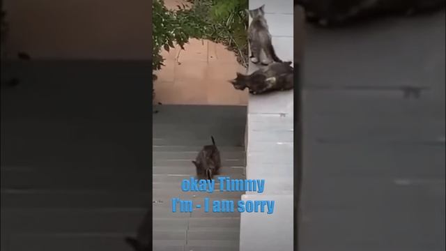 Hardcore Parkour: Cat Edition