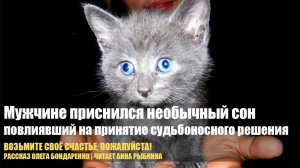 Необычный сон повлиял на принятие судьбоносного решения