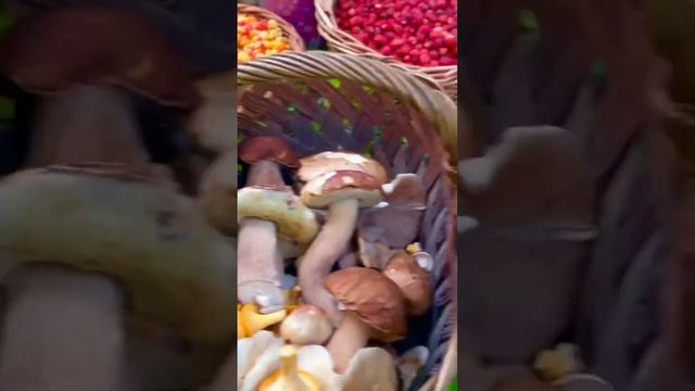 БЕЛЫЕ ГРИБЫ 2022 ! ОКАЗЫВАЕТСЯ ЭТА ЯГОДА ОЧЕНЬ ВКУСНАЯ И ПОЛЕЗНАЯ! СУПЕР УРОЖАЙ! ГРИБНИКИ СЧАСТЛИВЫ смотреть онлайн