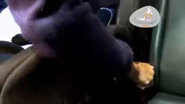 Автокресло Bellelli Gio Plus Fix детям от 9 до 36кг смотреть онлайн