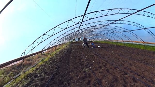 как собрать капельный полив своими руками