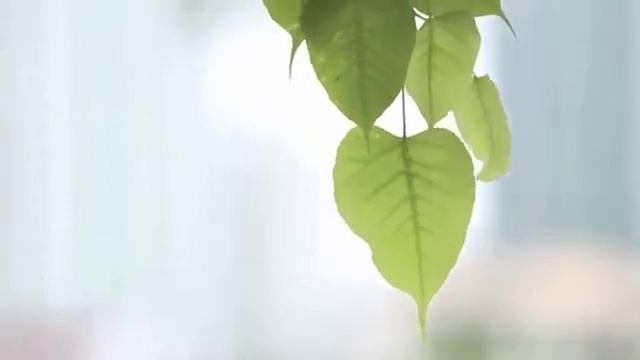 Ключи к Свободе. Москва. Сентябрь 2013 смотреть онлайн