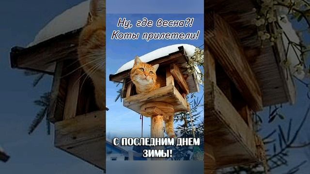 с первым днём весны  !   доброе утро