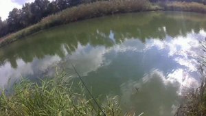 Ловим окуней на Стародонье! 1 часть.