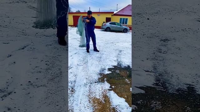 Сеть-Накидка для Сергея Олешкова г. Коряжма! смотреть онлайн