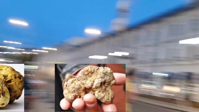 VLOG. Год каналу. Итоги. Продукты из магазина. Блюда из ресторана. Трюфели.