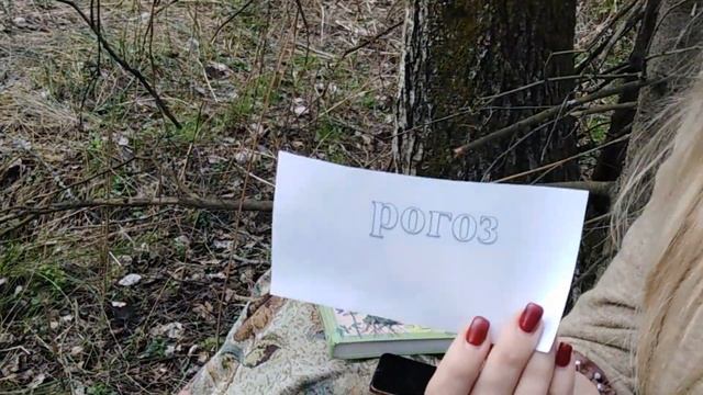 Животные нашего леса. Весна. Бобр или бобëр? Звуко - буквенный анализ слова. смотреть онлайн