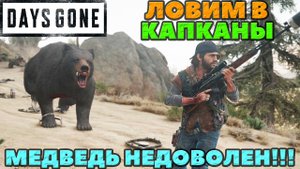 (PS5)Days Gone(Жизнь После) - ✔️Ловим в капканы! Медведь недоволен! Приглашенный Гость Громила!