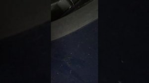 Оттираем тополиные почки с авто за 5 секунд