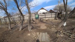 Порционный карп клюет на боковой кивок. Ловля в камышах и береговой зоне.