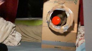 Fuzzy slo mo indesit moon washing machine destruction