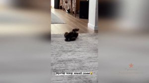 Курбан Омаров с Лерой приехали в гости на хинкали!